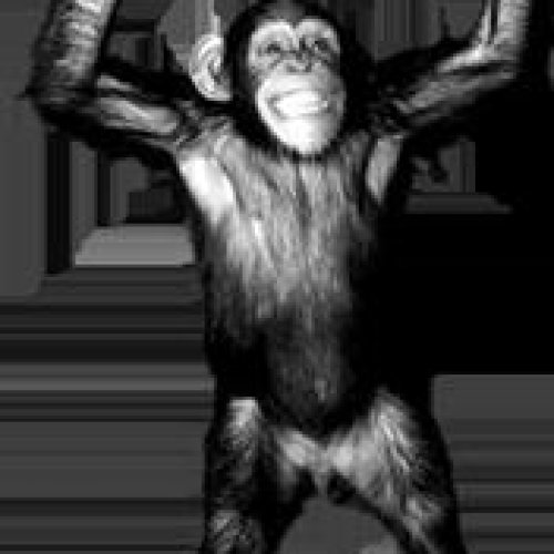 Le Zoo
