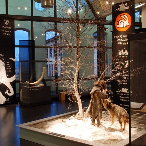 Museum für Urgeschichte(n) Zug